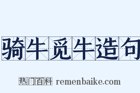 骑牛觅牛造句是什么意思的图片